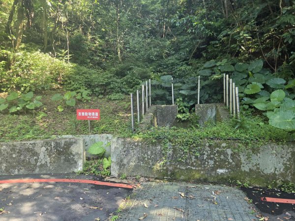 20260709十三股山-塗潭崙-媽祖林步道-永安景觀步道3087095