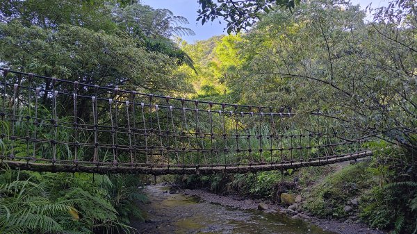 柴寮古道、中坑古道2814654