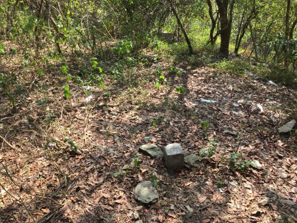 20220305高雄望頭山1633602