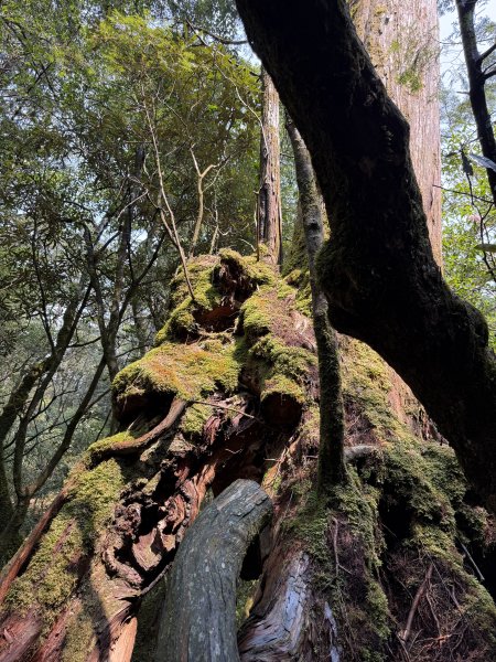70塔曼山3084223