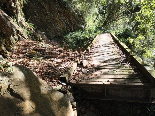 [玉山尋寶任務-07/12] 2025_0824 八通關雲龍瀑布步道2870628