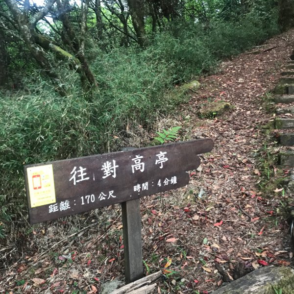 對高岳957335