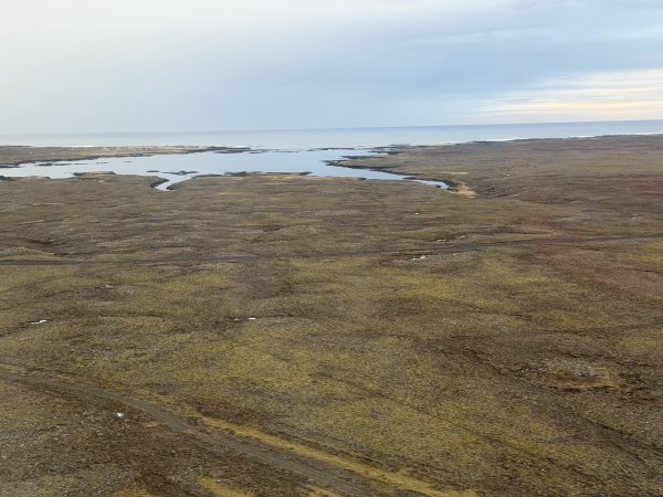 [紐約馬之行-50] 2025_1109~11 回到冰島/美國2952670