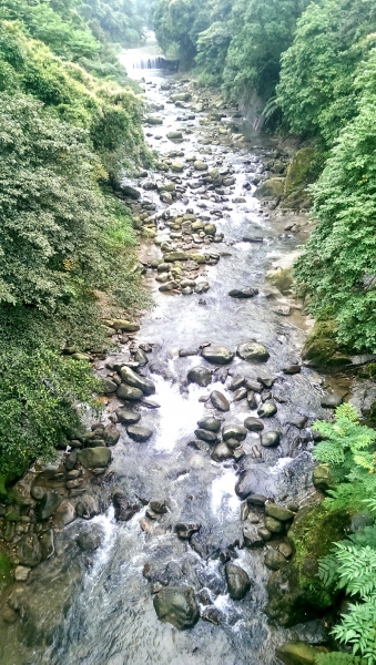 步道小旅行﹣東勢溪步道4603