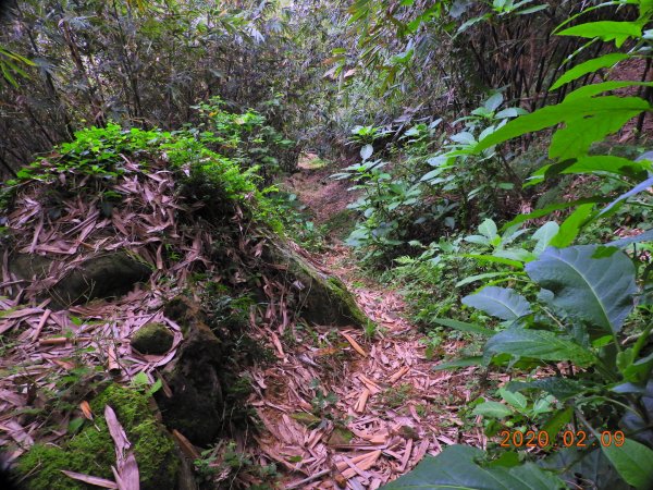 臺北 士林 燕溪古道830076