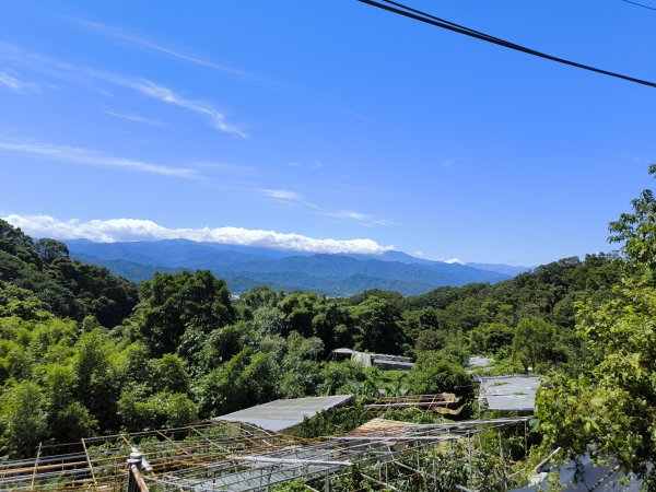 20250815微笑山線大棟山系百年大榕樹段2859911