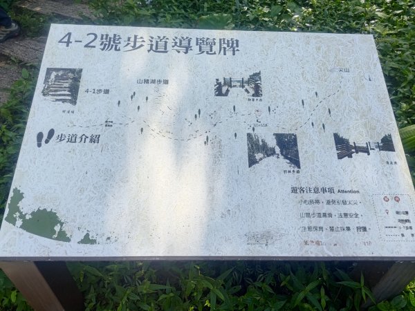 華山4-2號步道上雲嘉連峰2579324