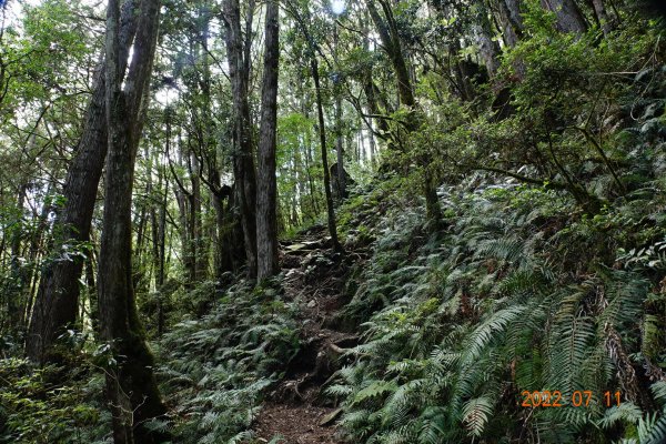 宜蘭 大同 加羅山1763925