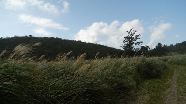 行腳陽明山-大屯山系2201254