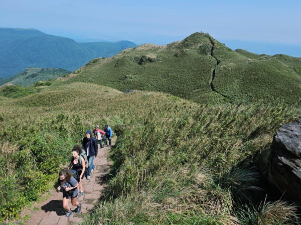 2026年臺北大縱走第三段：小油坑至風櫃口(七星山段)3029533