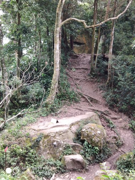 五指山五連峰純路況530515