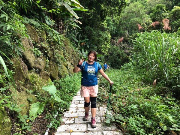 嘉南雲峰、石壁山有著讓人嚇到哭的螞蝗現身596794