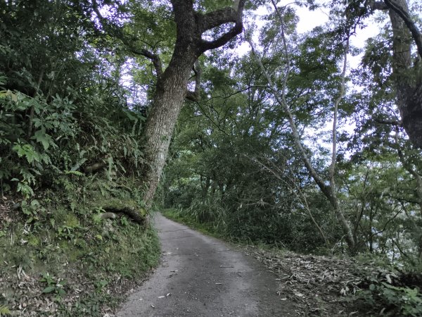 [玉山尋寶任務-07/12] 2025_0824 八通關雲龍瀑布步道2870446