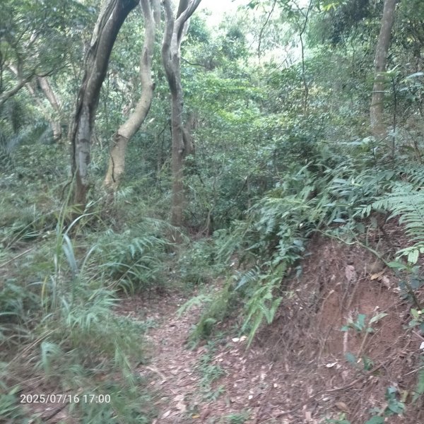 皮皮:三段崎古道2838656