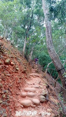【苗栗三義】台灣百大必訪步道。 火炎山、南鞍古道O繞x火炎山下花海2954156