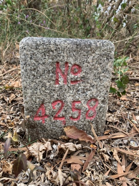 20250405屏東頂楓港山-上楓港山2757480