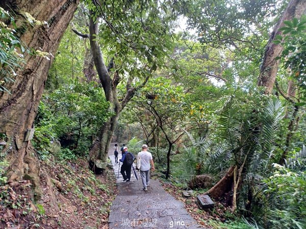 【新北五股】登高望遠。 No5小百岳~硬漢嶺步道 (觀音山)2501756