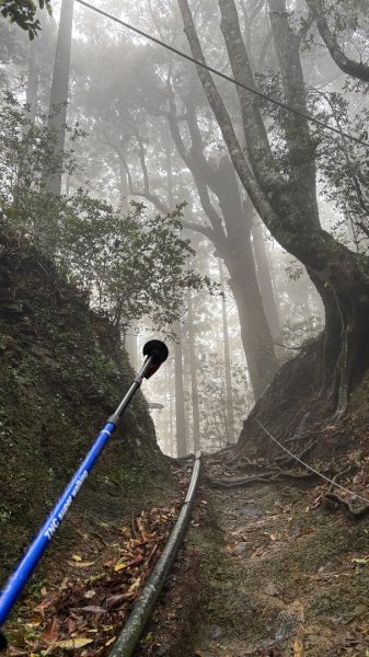 加里山3042796