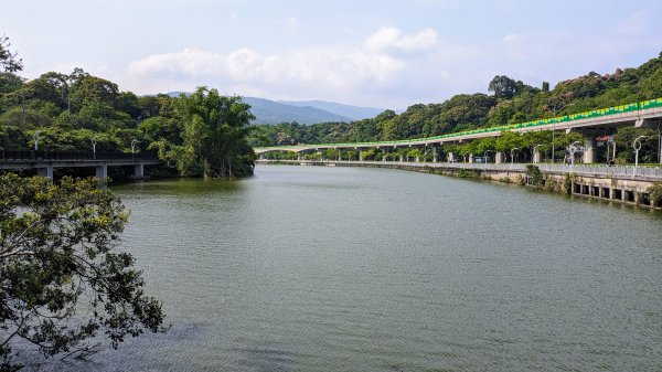 內湖,大湖,康寧,東湖2498600