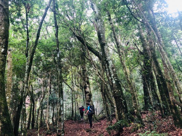 1090725高台山+美人湯1045473