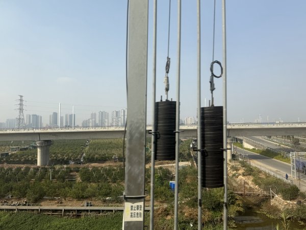 [茂名馬之行-10] 2026_0119 深圳北站2996563