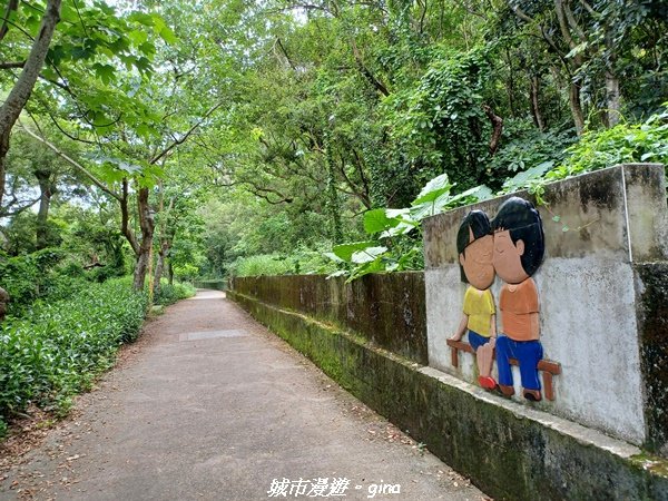 【台中外埔】沿著水圳散散步。 外埔水流東桐花步道1731439
