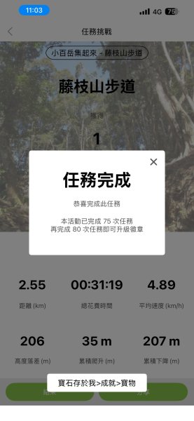 藤枝山3061252