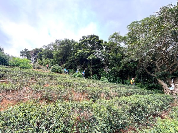 福人登山步道走大北坑小楊梅 O繞3129999