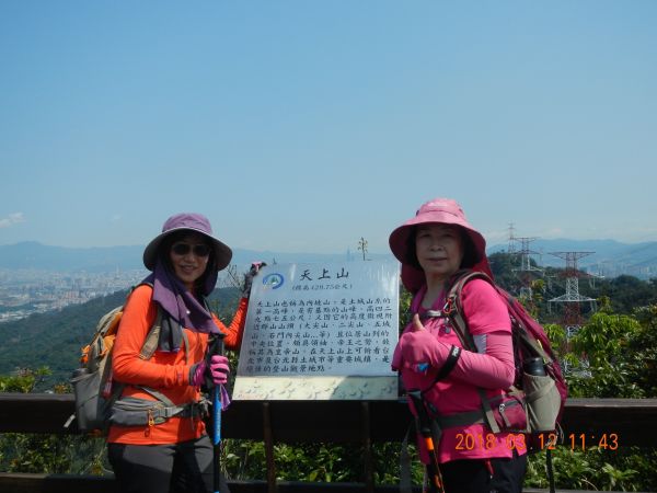 土城天上山五城山將軍嶺綠野香坡社區285780