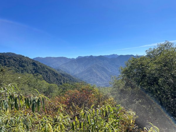 苗栗縣｜泰安鄉｜大鹿林道 西線