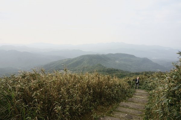 灣坑頭山 桃源谷步道 連走2034853