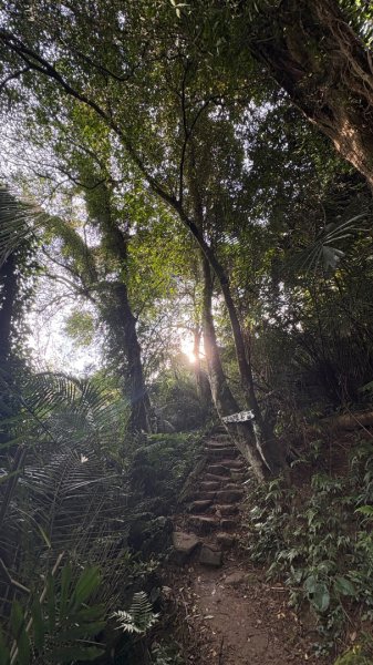 雙溪洲山（母親節快樂）3051394