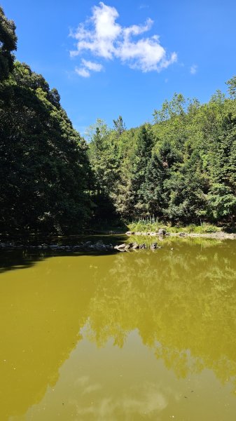 【被遺忘的南橫仙境】中之關、天池步道O繞10K2798199