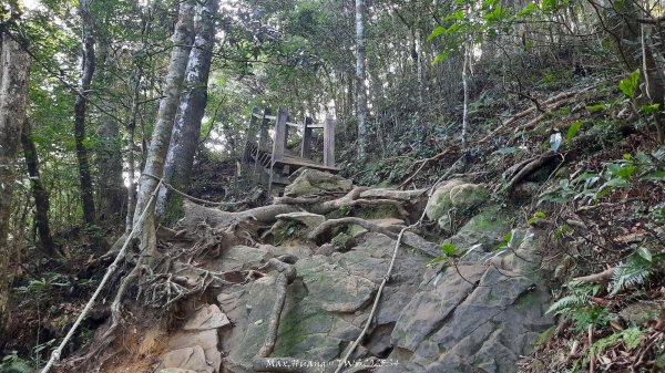 《新竹》斷崖神木｜北得拉曼步道小P繞202510172917499