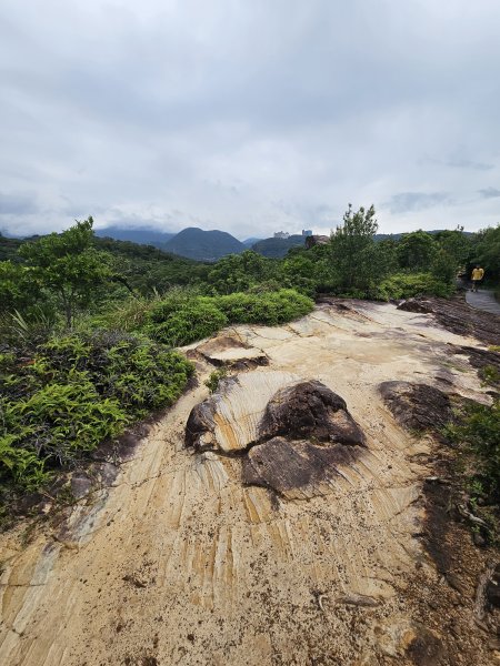 軍艦岩、丹鳳山親山步道3110722