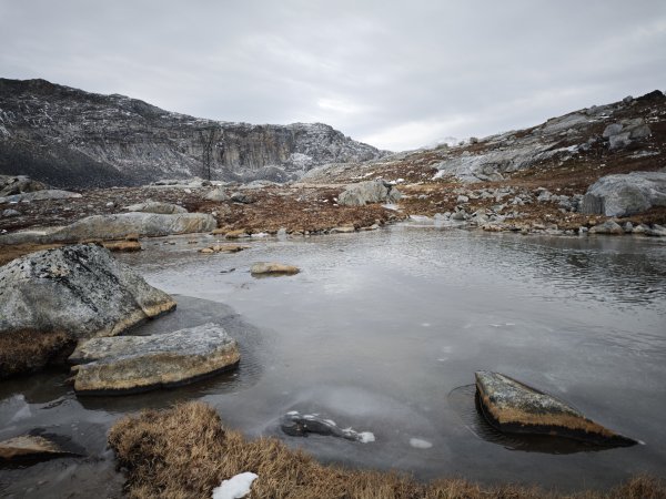 [紐約馬之行-45] 2025_1108 努克環狀步道 2/52951189