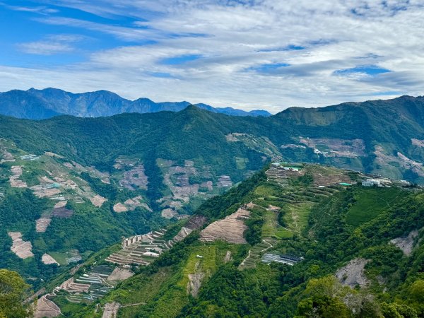 能高安東軍 被水鹿包圍的奇幻冒險旅程2811084