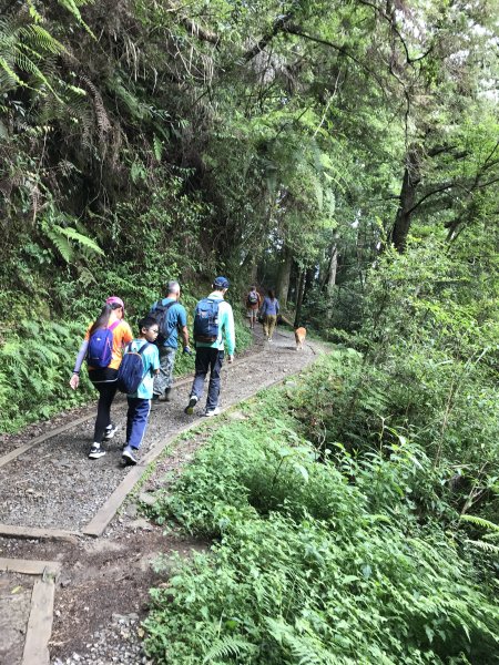 109年6月26日特富野古道1027078