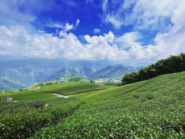 二延坪_鹿林山2865318