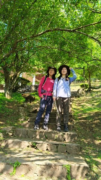 陽明山國家公園202503232743276