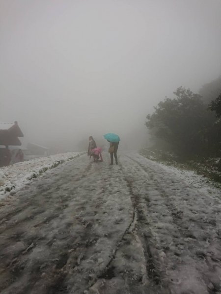 20210108冰封大屯山1232021