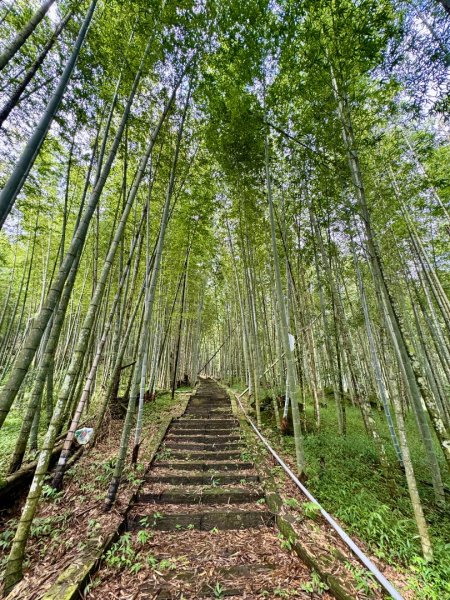 挑竹古道6號走小半天6連峰出孟宗竹林古戰場3108710