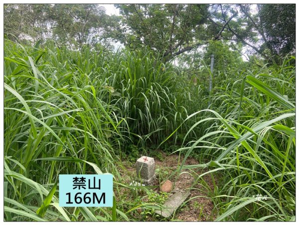 禁山 (苗栗/苑裡)2794874