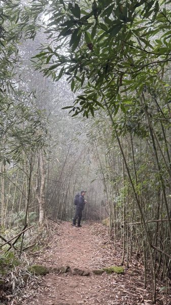 20260101小百岳馬那邦山賞楓團2973953