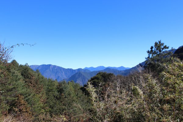 20210123嘉義麟趾山鹿林山1247991