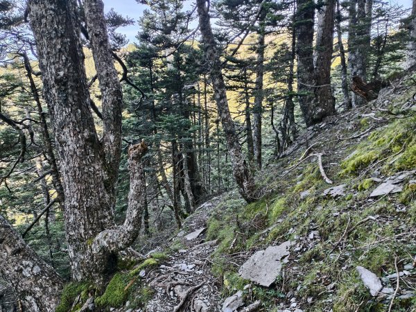 北一段(08/14)陶塞峰 2025_0906~132886951