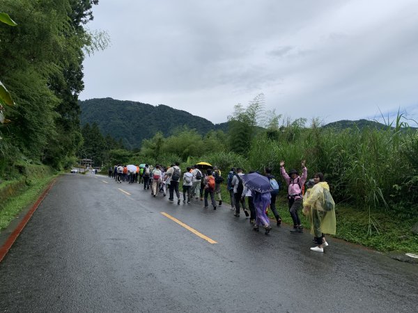 20250614南投南鳳凰山2813244