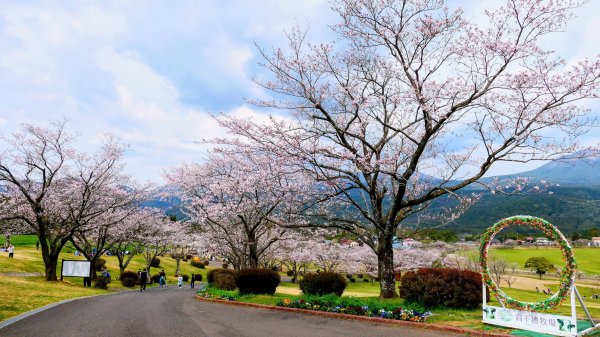 鹿兒島高千穗牧場3028180