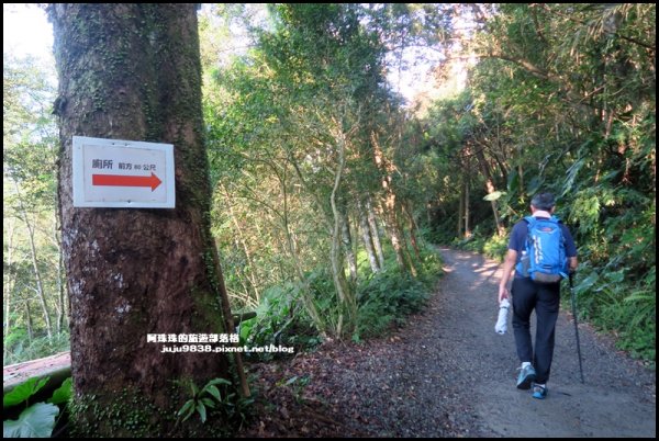 宜蘭礁溪。抹茶山聖母登山步道｜走到軟腿的1189161