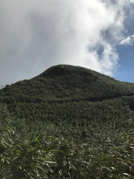 七星山攻頂577484